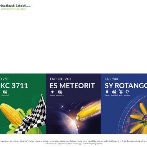 Zielona Góra - sprzedaż nasion rzepaku