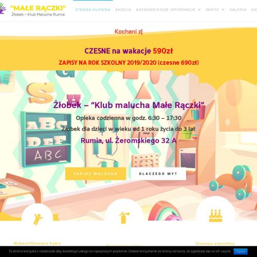 Żłobek z cateringiem Rumia