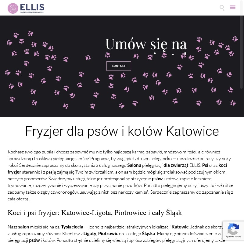 Psi fryzjer siemianowice - Sosnowiec