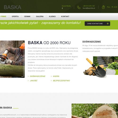 Ruda śląska - frezowanie pniaków