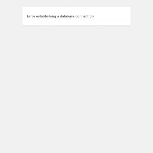 Koszulki z haftem na zamówienie w Szczecinie